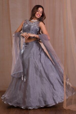 Stonework Tissue Readymade Lehenga
